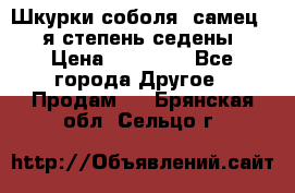 Шкурки соболя (самец) 1-я степень седены › Цена ­ 12 000 - Все города Другое » Продам   . Брянская обл.,Сельцо г.